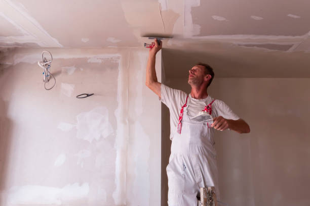 Best Drywall Crack Repair  in Brownsville, KY